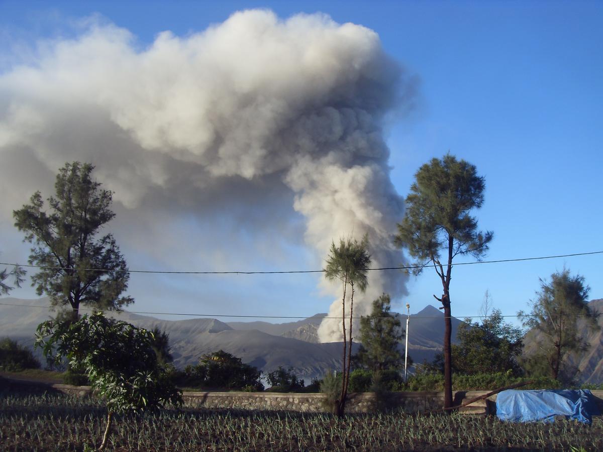 Cahyo Homestay Bromo Kültér fotó