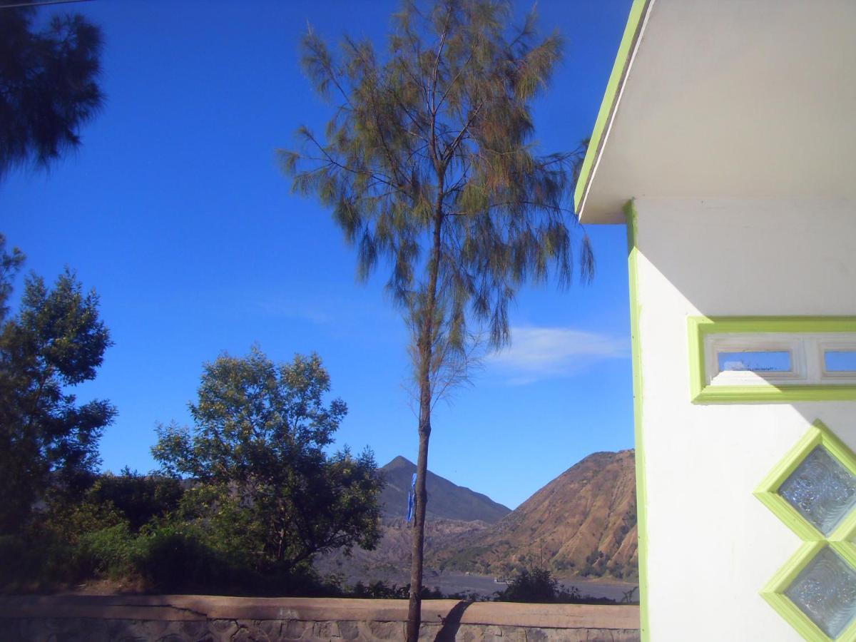 Cahyo Homestay Bromo Kültér fotó
